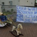 zdjęcie nr 14