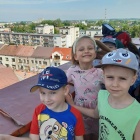 laurka dla okrasy 5