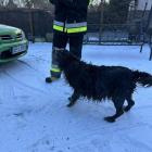 Fot. Facebook / OSP Nowa Brzeźnica