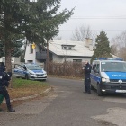 zdjęcie nr 8