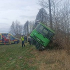 rząśnia w 4