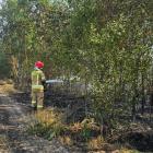 Na zdjęciu pożar lasu i nieużytków w Rząśni / fot.: OSP KSRG Sulmierzyce