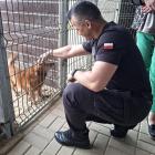 Zdjęcie z akcji COSSW zakup karmy weterynaryjnej dla schroniska w Trębaczewie / fot.:...