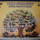 zdjęcie nr 21