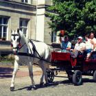 zdjęcie nr 70
