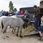 zdjęcie nr 49