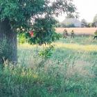 Zdjęcia z wypadku drogowego w Skrzynnie / fot.: Czytelnik portalu kulisy.net