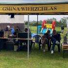 zdjęcie nr 15