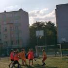 Fotka nr 2 z 21