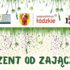 fot.: Szkoła Podstawowa w Osjakowie