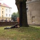 zdjęcie nr 83