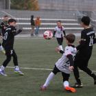 Fotka nr 2 z 11