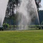 zdjęcie nr 65
