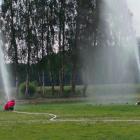 zdjęcie nr 41