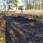 zdjęcie nr 62