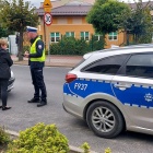 piesi