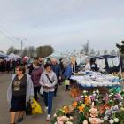 Zdjęcia z targowiska przy ulicy Broniewskiego w Wieluniu / fot.: Elżbieta Mizak