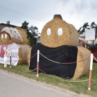 zdjęcie nr 18