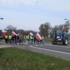 fot.: Mirosław Stabrawa