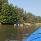 zdjęcie nr 40