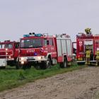 zdjęcie nr 17