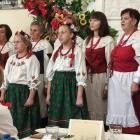 zdjęcie nr 132