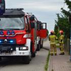 Fotka nr 1 z 4