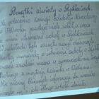 zdjęcie nr 46