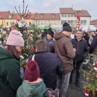 zdjęcie nr 93