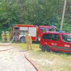 zdjęcie nr 37