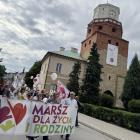 zdjęcie nr 33