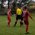 zdjęcie nr 12