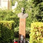 zdjęcie nr 41