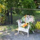 zdjęcie nr 42