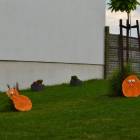 zdjęcie nr 15
