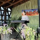 zdjęcie nr 17