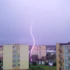 Fotka nr 5 z 7
