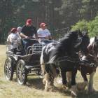 zdjęcie nr 41