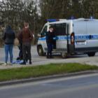 Fotka nr 1 z 7