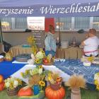zdjęcie nr 163