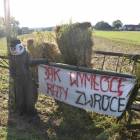 zdjęcie nr 34