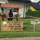 zdjęcie nr 19