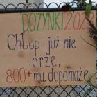 Fotka nr 4 z 17