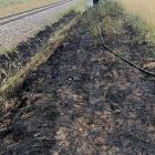 Zdjęcia z akcji gaszenia pożaru traw w miejscowości Barany / fot.: OSP Makowiska