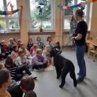 zdjęcie nr 7