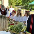 zdjęcie nr 8