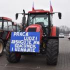 zdjęcie nr 11