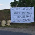 zdjęcie nr 18