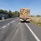 Fotka nr 4 z 6