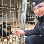 Zdjęcie z akcji COSSW zakup karmy weterynaryjnej dla schroniska w Trębaczewie / fot.:...